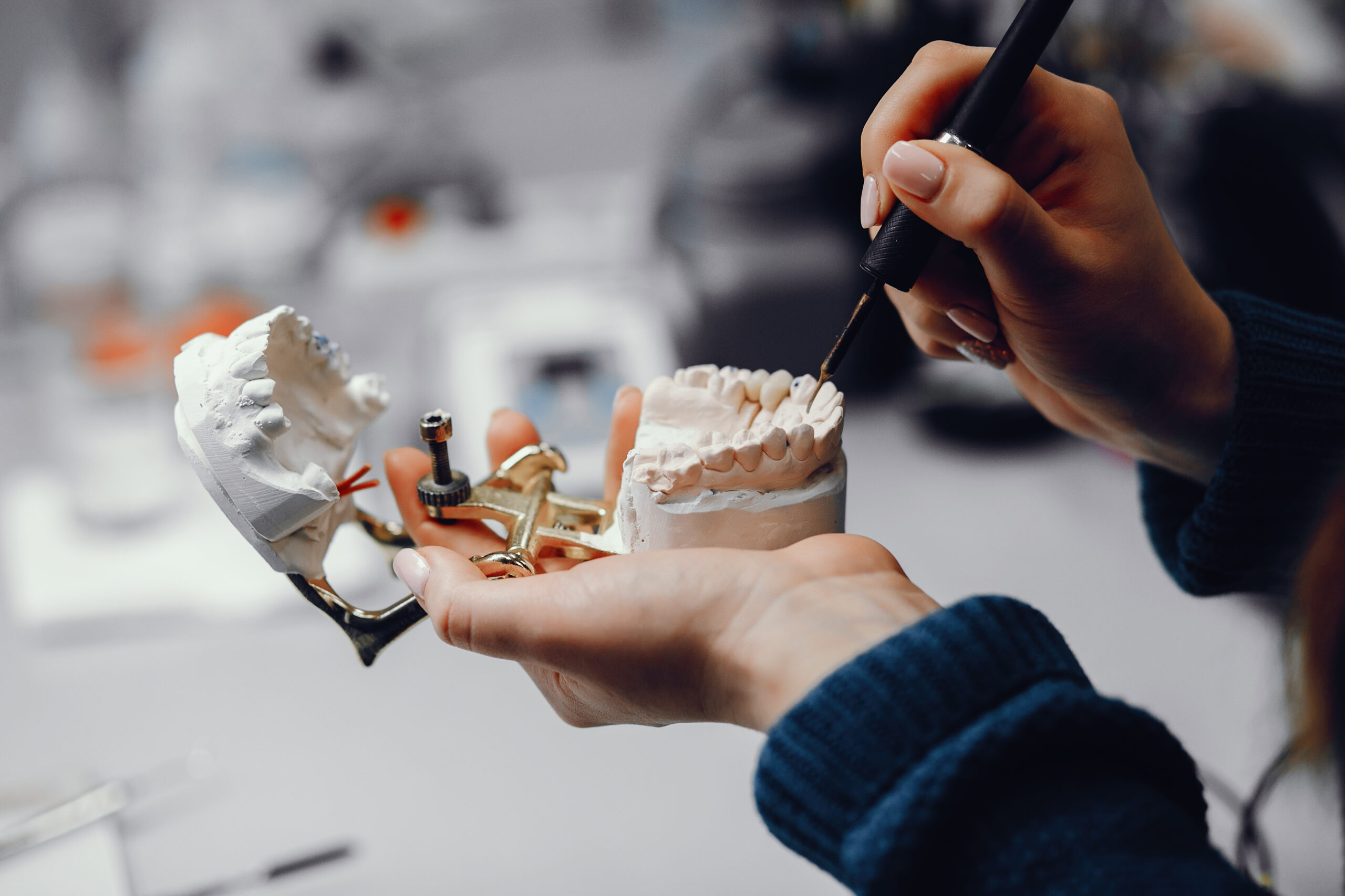 Artificial jaw in the dentist’s office